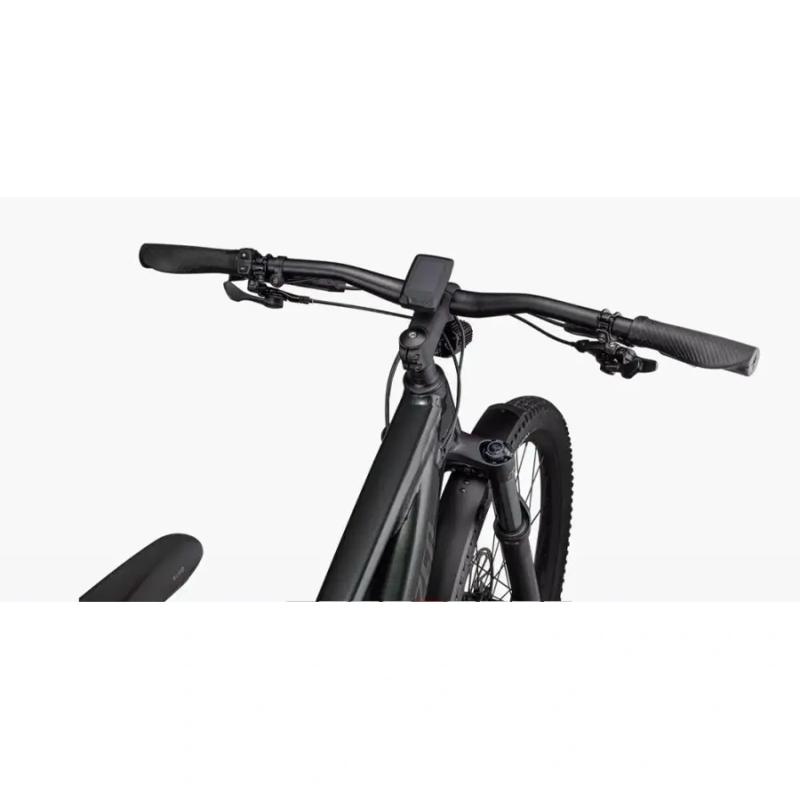 ELEKTRIČNO GORSKO KOLO SPECIALIZED TERO X 5.0 29 2024 oak green metallic