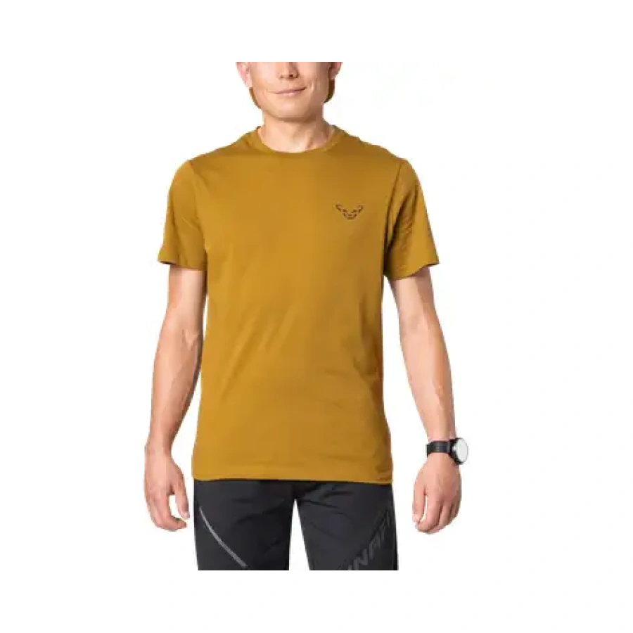 MAJICA DYNAFIT 24/7 GRAPHIC relic