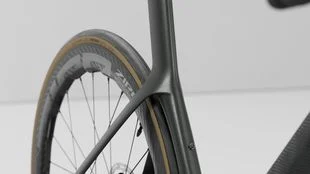 Znižane cevi ob verigi (Dropped Seatstays)