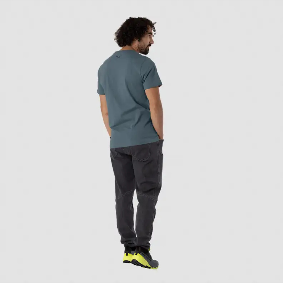 MAJICA DYNAFIT GRAPHIC COTTON Cinder/beer can
