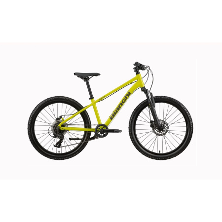 Otroško gorsko kolo Bianchi XR24 2027