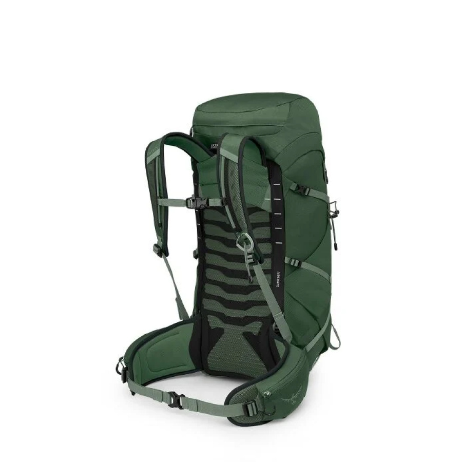Nahrbtnik Osprey Talon 33 - pogled od zadaj