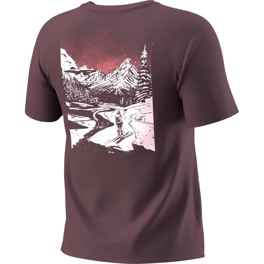 Ženska majica Dynafit Back Graphic Cotton v barvi Nirvana - pogled 2